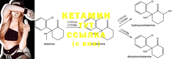 гашик Кукмор