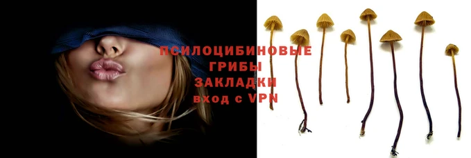 амф Лихославль