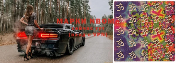 стаф Кулебаки