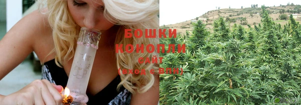 МДПВ Липки