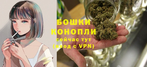 МДПВ Липки