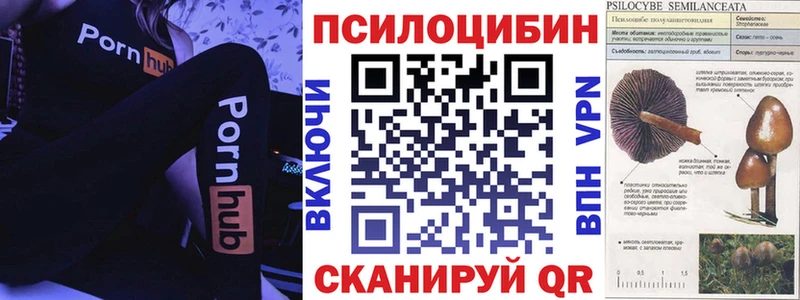 Псилоцибиновые грибы Magic Shrooms  дарнет шоп  Сысерть 
